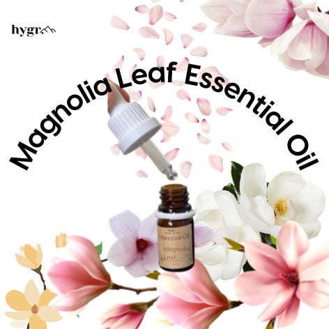 Magnolia Leaf Essential Oil Nature Aromatherapy Diffusion Massage Oil Boost Energy
