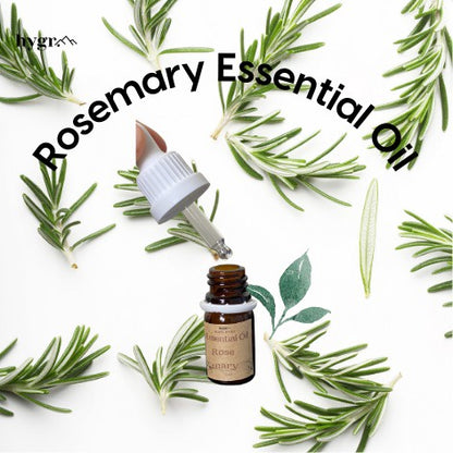 Rosemary Essential Oil Nature Aromatherapy Diffusion Massage Oil Boost Energy